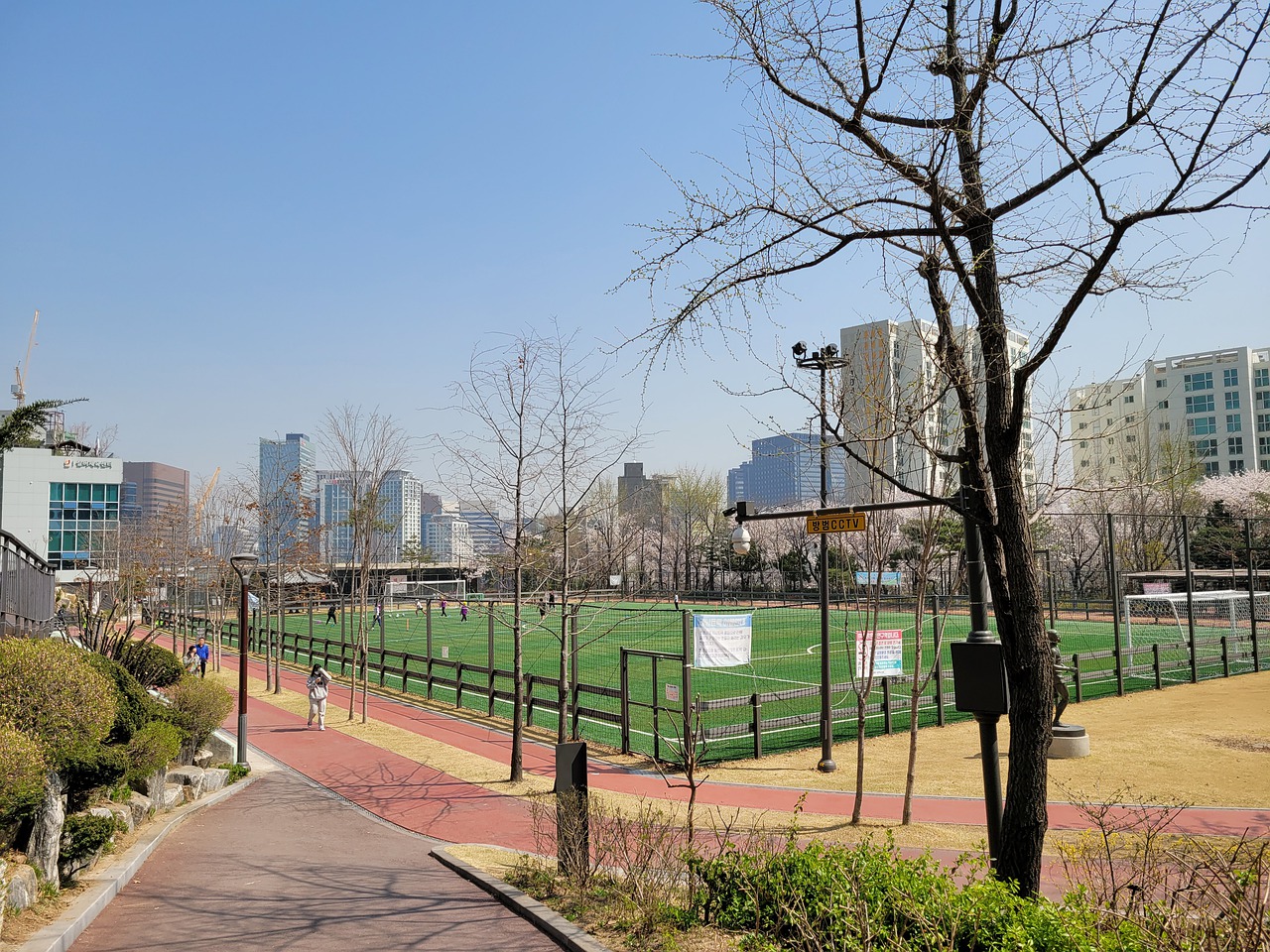 仅显示了曼