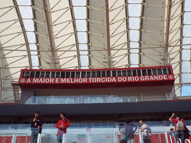 最大化执行 最大化执行