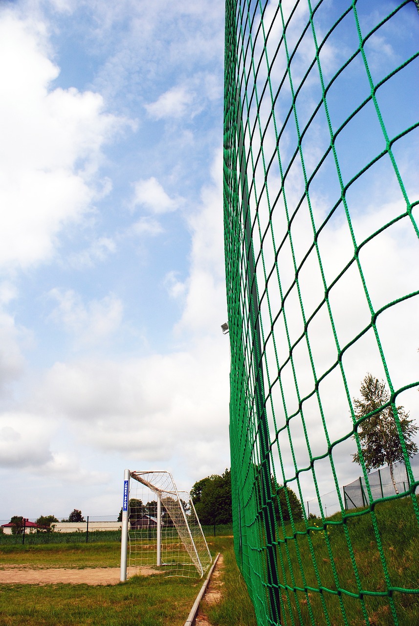 在艺术的世 在艺术的世