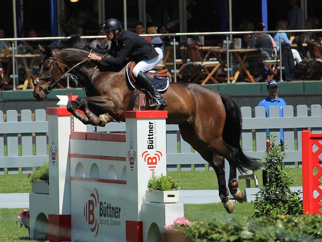 己的技术优 己的技术优